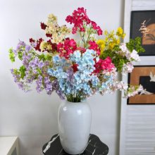���������֦��@С�黨�Ƶ껨�Ų廨����������Yӭ�e�^���üٻ�