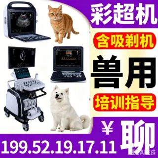 便携式兽用B超机-兽用B超机价格 兽用B超仪厂家批发