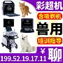 便携式兽用b超仪
