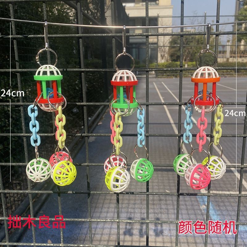 牡丹のオウムの鳥かごは鈴をかじっています。|undefined