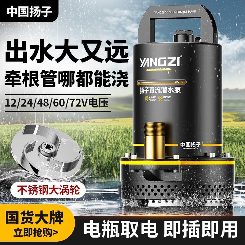 揚子 DC 水中ポンプ 12V48V72V バッテリー電気自動車水ポンプ家庭用農業灌漑ハイパワーウォーターポンプ|undefined