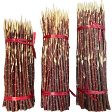 t֦½tᘼt󴮼tľ⺞⴮