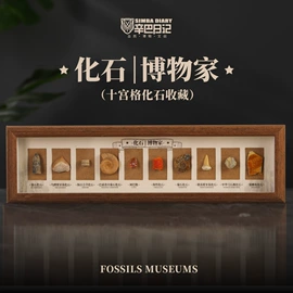 冰箱贴;现代装饰画;标本