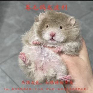 �Lë��z�܂}���ֱë�ڲ��۲��S�����ɲ�������