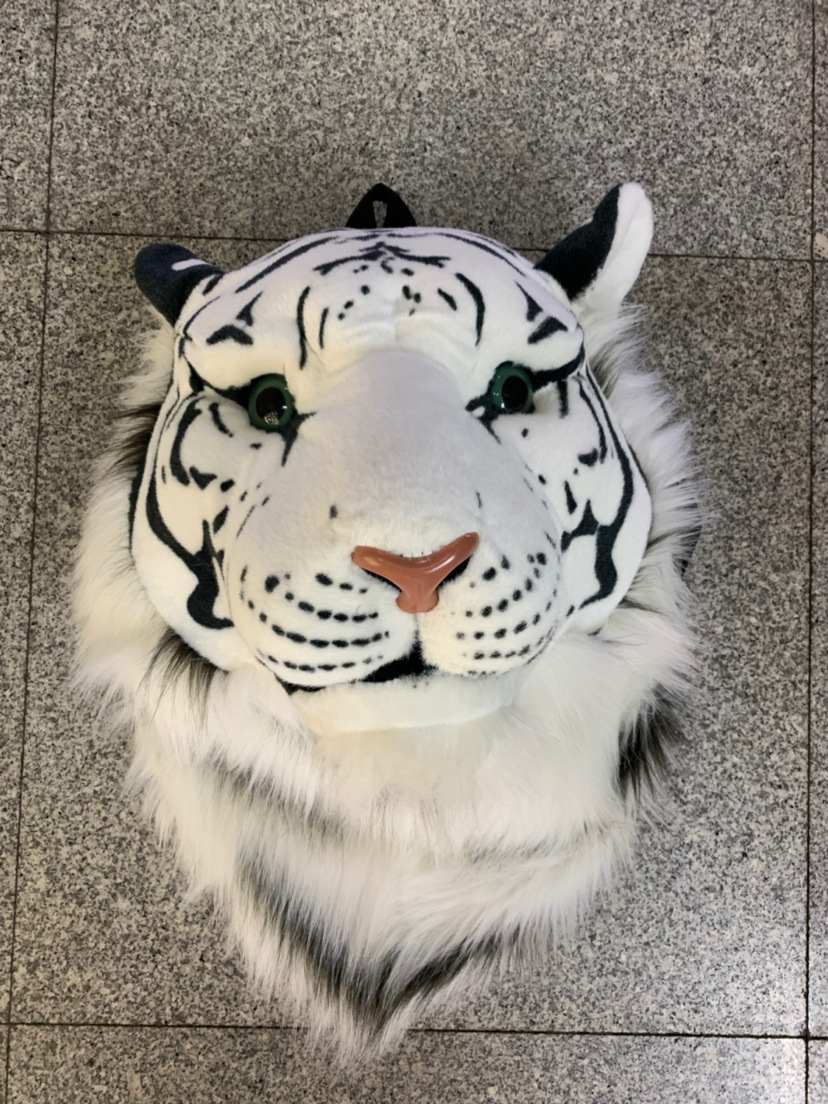 45736c094428a14dda9e2427ada508