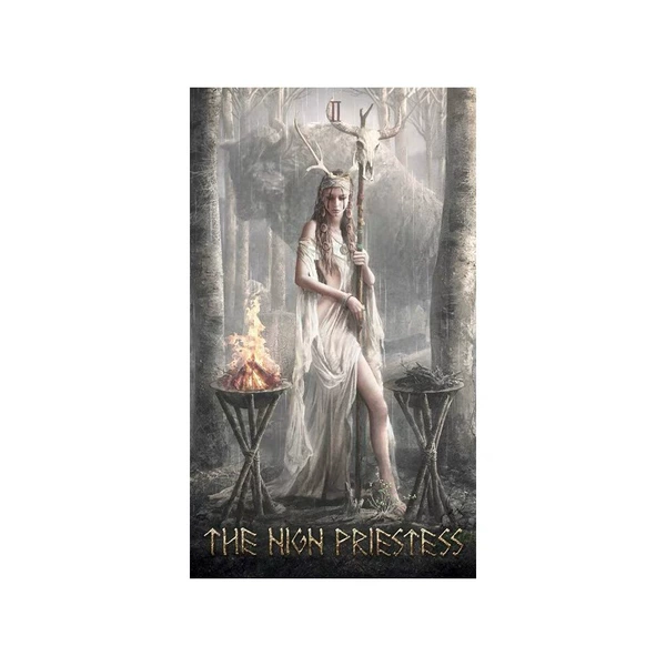 E41 Nigera Tarot RUNIC TAROT