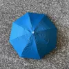 53cm Silver Plastic Umbrella Hat [Sky Lan]
