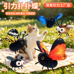 �羳�¿���������؈�����˽␞������߷������x�����ԄӶ�؈��