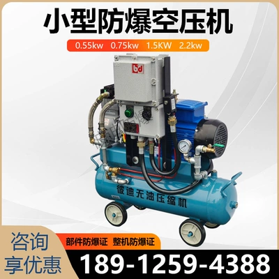 220V small explosion-proof air compressor oil-free 1.5KW gas station natural gas bt4 mini air compressor (Hava kompressorları)
