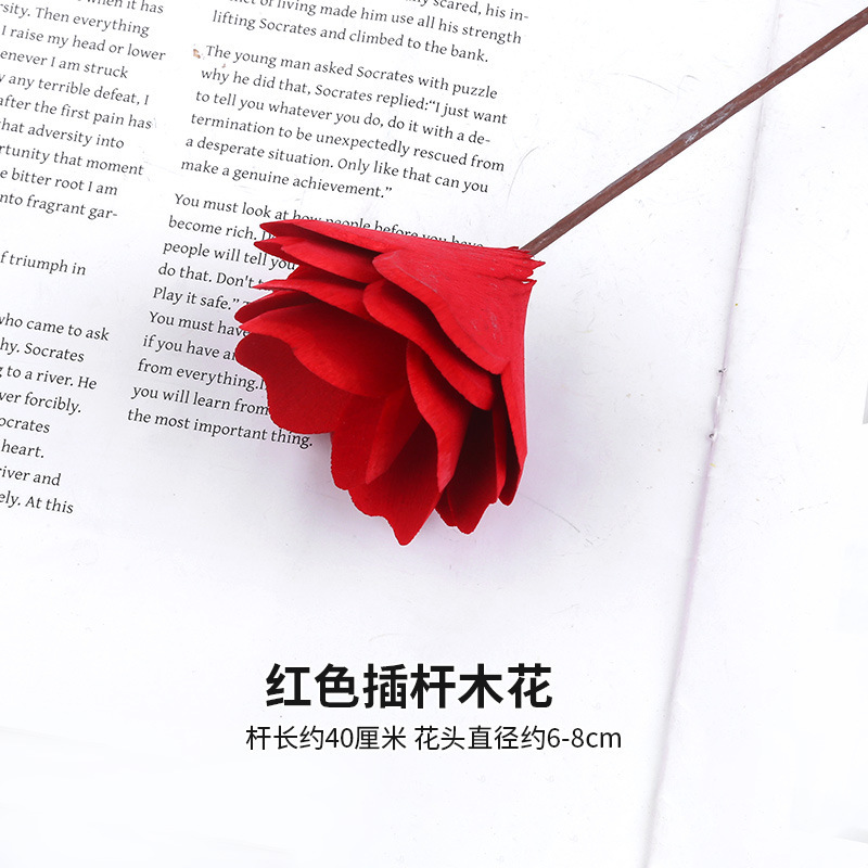 붉은 기둥 나무 꽃