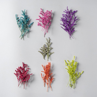 Lover Grass Bending Flower Material Gum Dropping Dried Flower diy Handmade Flower Material Plant Teaching Dried Flower Natural True Flower Specimen