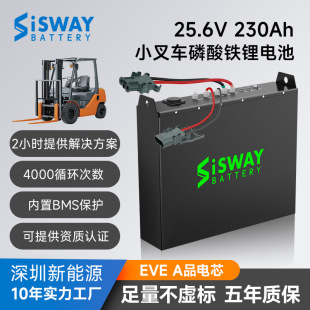外貿工廠電動叉車磷酸鐵鋰電池搬運車48伏24V鋰電電池組PACK200Ah