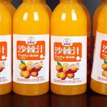 ���xɳ��֭�������360mlx24ƿ�������خaҰ��ɳ��ԭ�{�SC��֭��