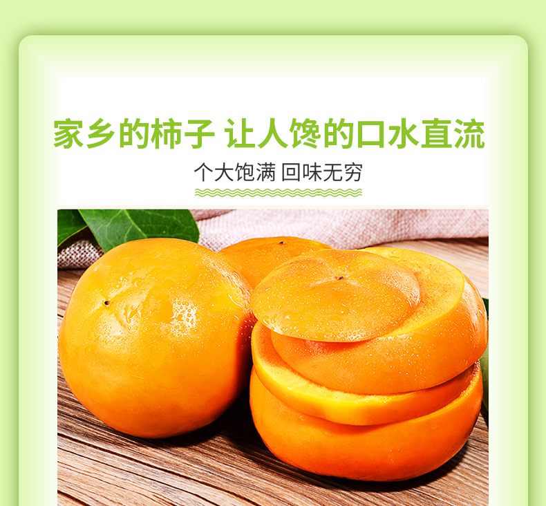 陕西脆甜柿子_03