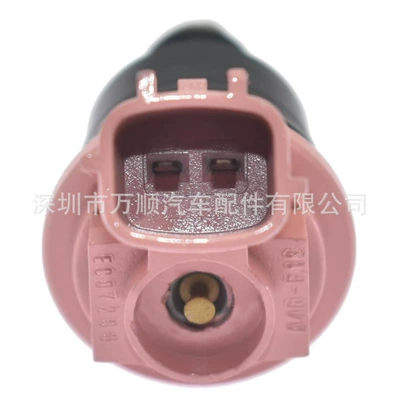 Flag Century Star – Oil pump, nozzle