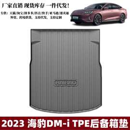 适用于2023-2024款海豹DM-i后备箱垫TPE垫子汽车高边防水尾箱垫子