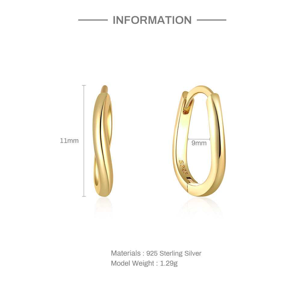 Fashion Round Silver Inlaid Zircon Earrings 1 Pair