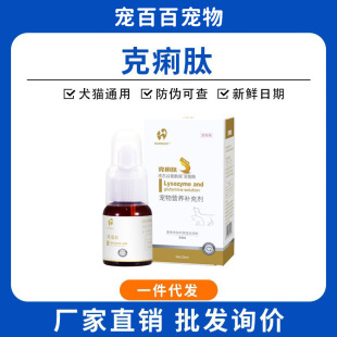 ������؈�乷����������ϡ�{���cθ��Ȯ����I����������ϡ������