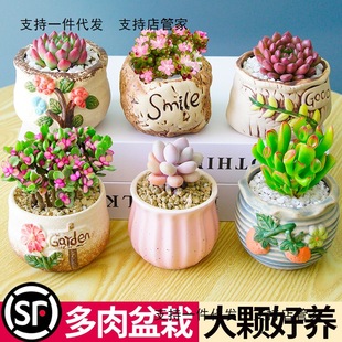 ֲM҃С¶ҵմɻϘ߶Gֲ