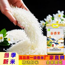 家用大米泰香米做饭煮粥当季新米五斤袋装煲仔饭米蛋炒饭米批发