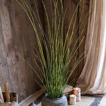 ��������ֲ��ľ�\�񹝲ݾGֲ���^�OӋ�廨��ľƵꙻ���쾰�b�