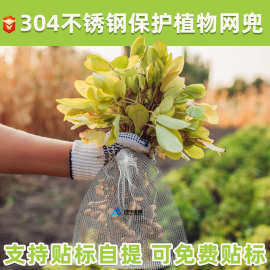 现货供应304/316不锈钢金属网袋 保护植物根部防虫鼠编织网袋滤网