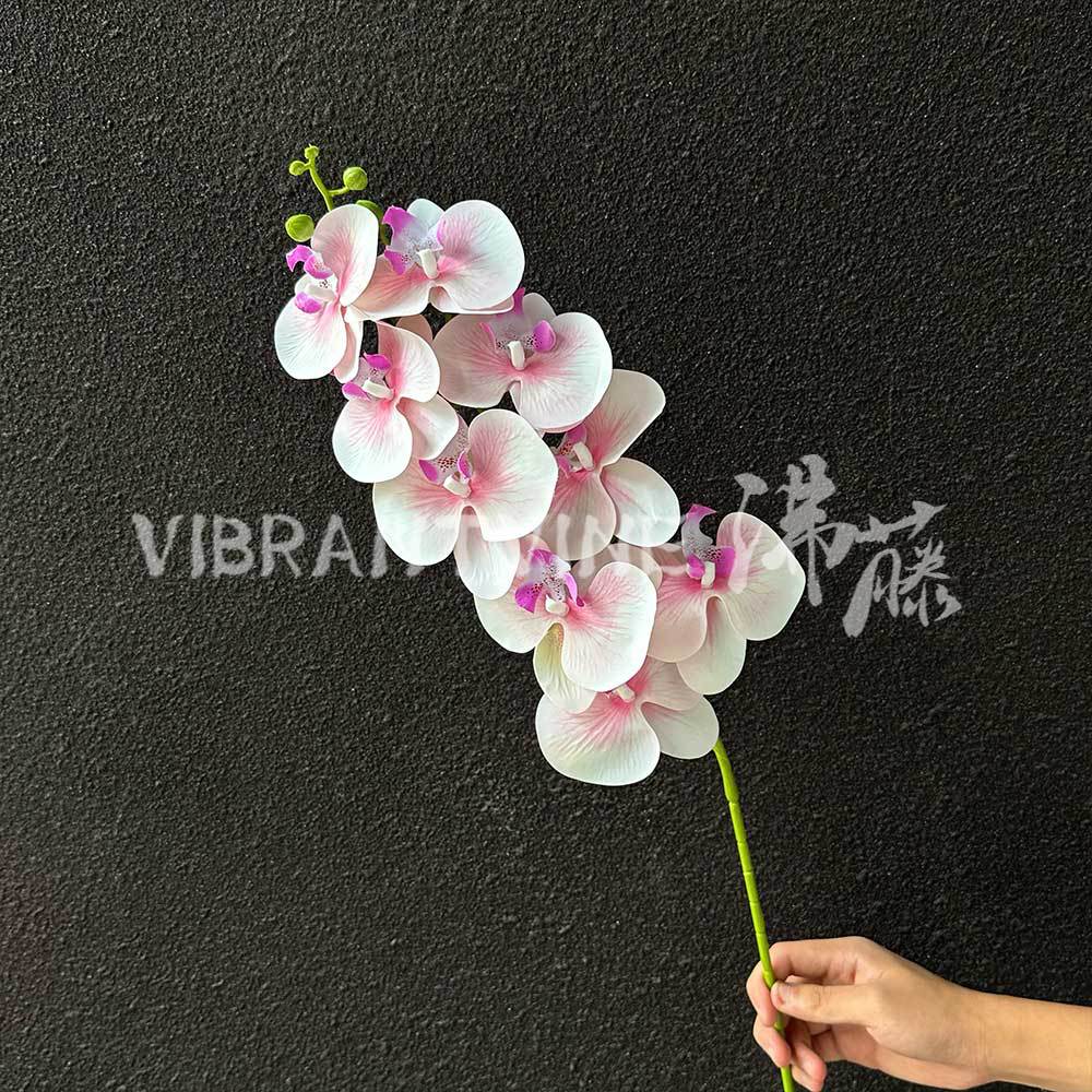 Luz púrpura 9-cabeza 3D Phalaenopsis
