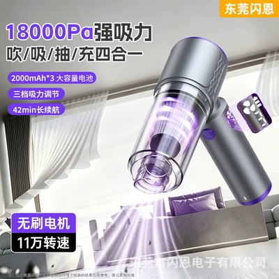 Vacuum Cleaner with Blowing and Suction – Tozsoranlar