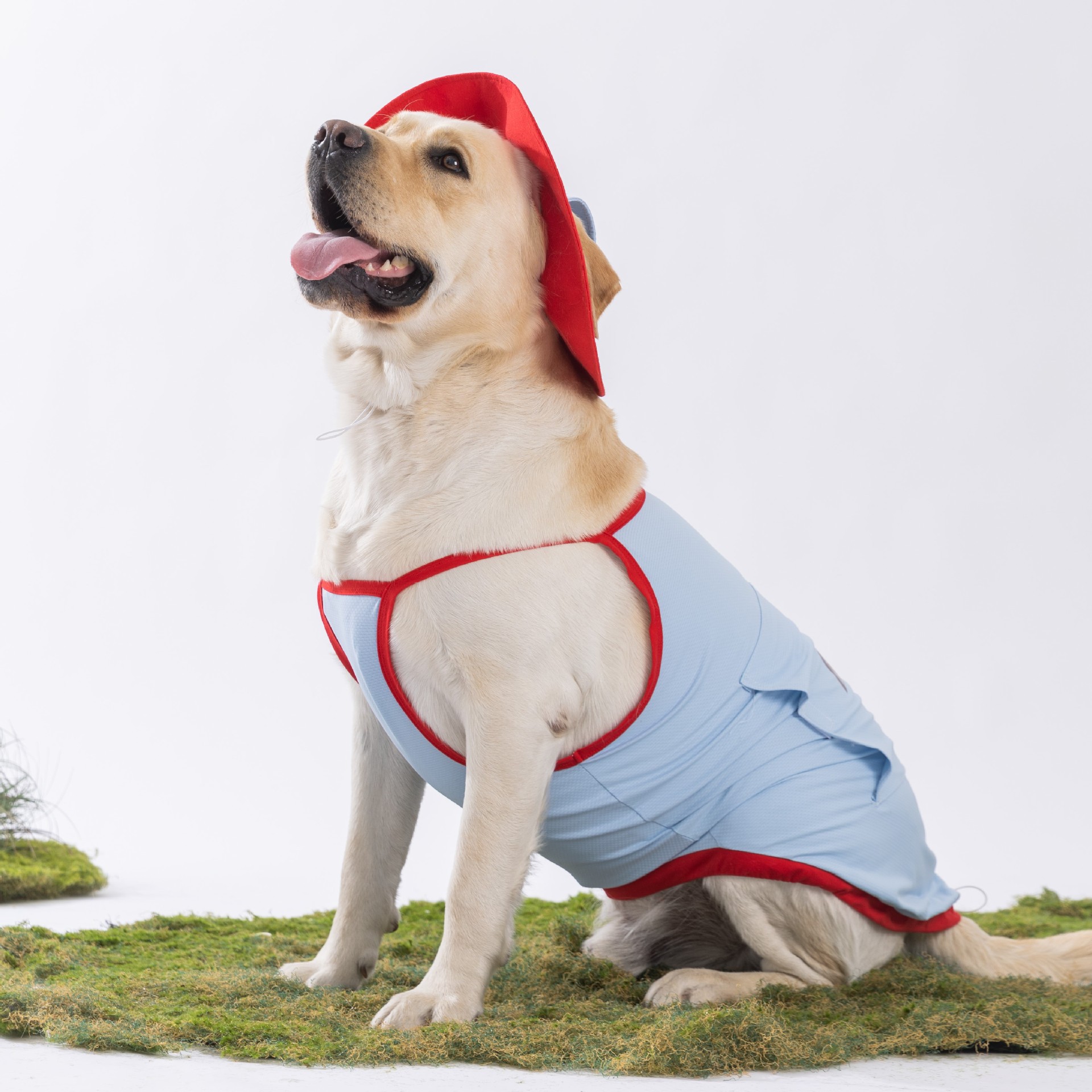 Perros de verano, perros medianos y grandes, ropa fresca y fresca, traje con capucha, chaleco para perros Golden Retriever Satsuma, ropa para perros