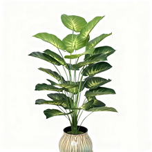 �羳����Sֱ�N�������Gֲ��ˇƷֲ���S���f����٘��쾰����