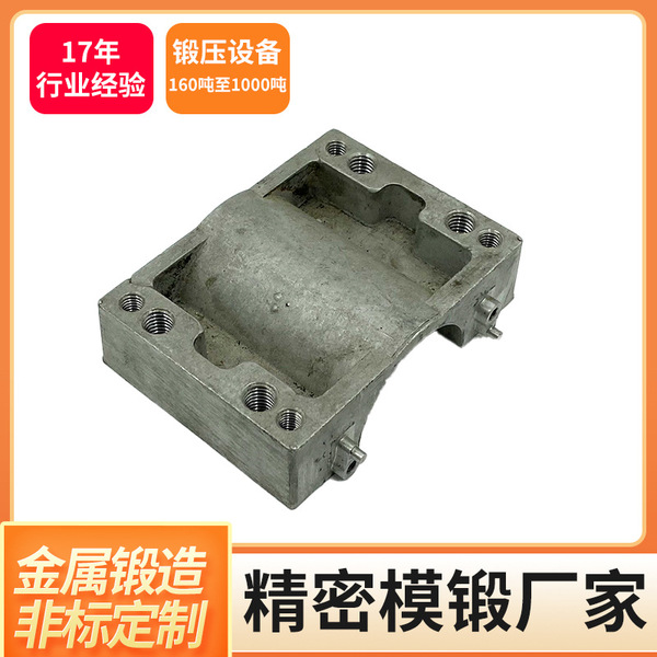 Aluminum titanium alloy stainless steel precision parts forging non…