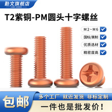 T2���~���ƈA�^ʮ���ݽz PM�~ʮ�ֲ۱P�^��˨�C�����M2M2.5~M5M6