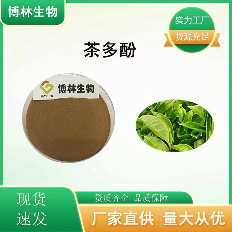 茶多酚绿茶提取物食品级绿茶提取物EGCG茶多酚现货