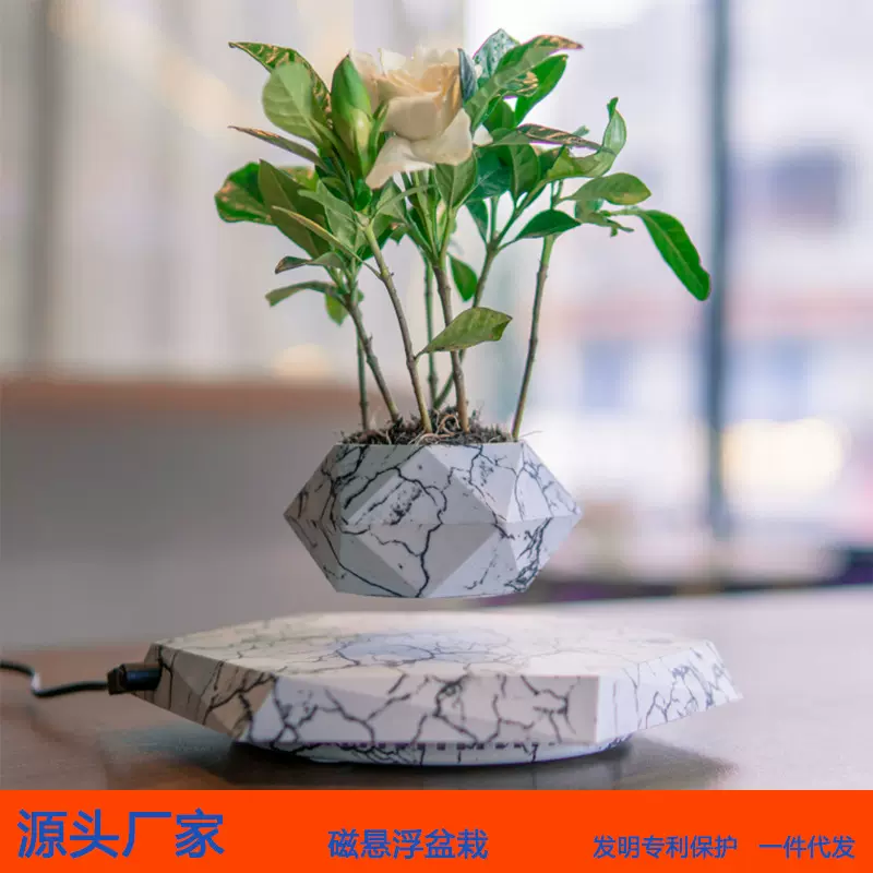 磁悬浮植物盆景摆件空中花盆盆栽家居装饰品创意乔迁新居礼物礼品