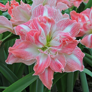 �ļ��׻���������m�ذ���피t�N��������Ի����҃��̨ͥԺ