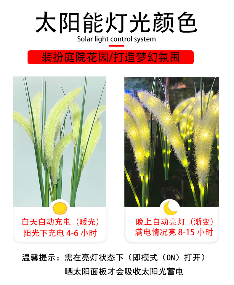 狗尾巴草_04.jpg?x-oss-process=image/format,png