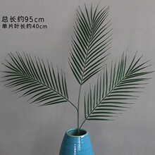 �Gɫϵ���滨�b�Y�û��đ��⻨�Gֲ��ꐲ���ɢβ��ɭϵ��c