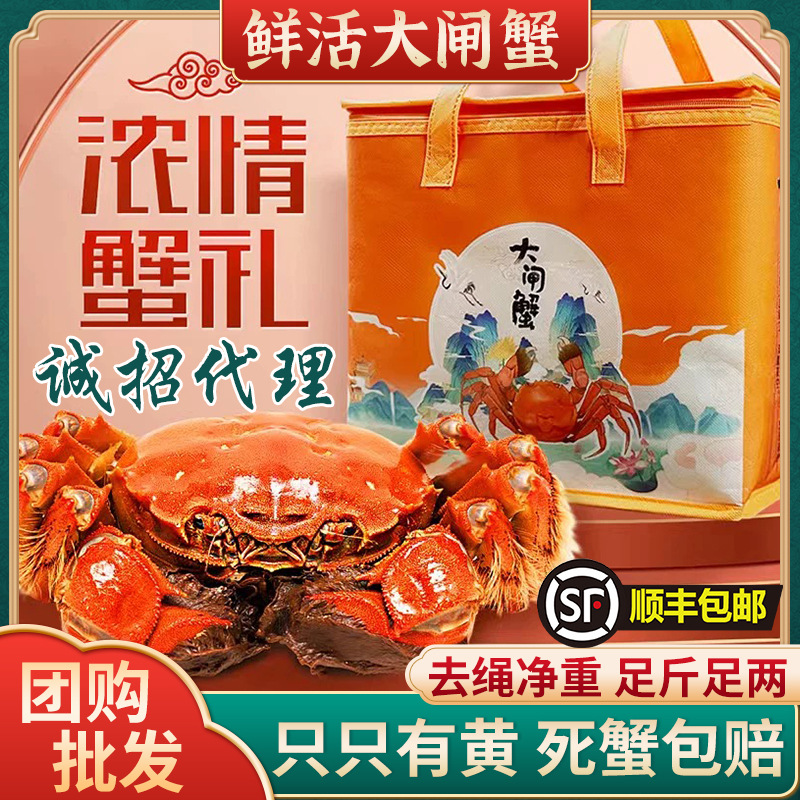 江苏大闸蟹鲜活螃蟹10只肥大足两满黄公蟹母蟹湖鲜河蟹批发