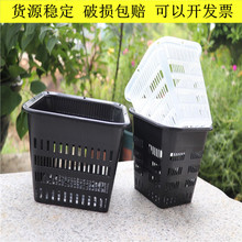 蝴蝶兰专用控根盆景花盆铁皮石斛方形加厚塑料定植篮生根水培透气