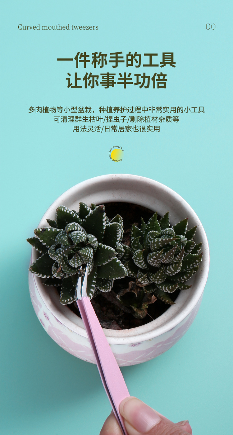 240202多肉镊子_03.jpg