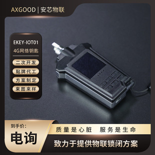 4G key, EKEY-IOT01, electronic key, authorization to open a key, record storage, remote authorization.