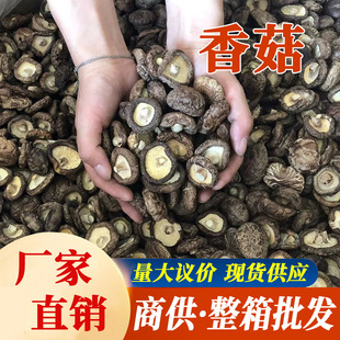 �㹽����ɢ�b10�������؛��؛�a��������؛�������l˽�l����