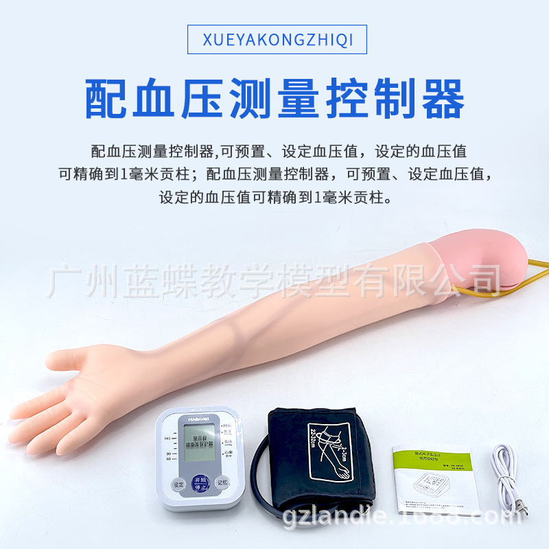 �ֱ�Ѫѹ����ѵ��ģ�� ������ѧģ�� ����Ѫѹ����ģ��