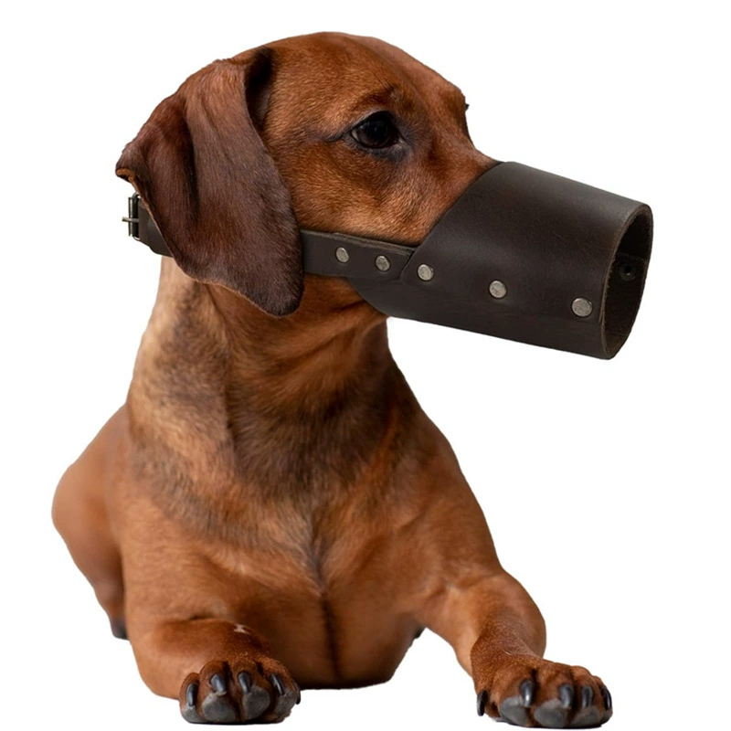 Заводская прямая защита от укусов, защита от лая намордник для собак, товары для домашних животных, оптовая продажа с фабрики, супер-подвижная намордник, защита от укусов, клетка для собак, веревка для собак