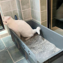 猫砂盆号特大号缅因猫巨大号集装箱大周转全开放巨型默认