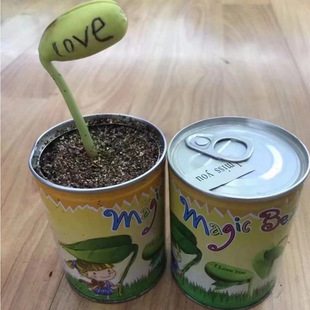 ������ ������ħ������ �k���ҷNֲ �҃ȷNֲ ���b���� 2Ԫ�YƷ