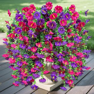 �羳���R�d���栿ţ�����Ȼ�������@����Ҿӻ�YͥԺ�ڒ��ٗl