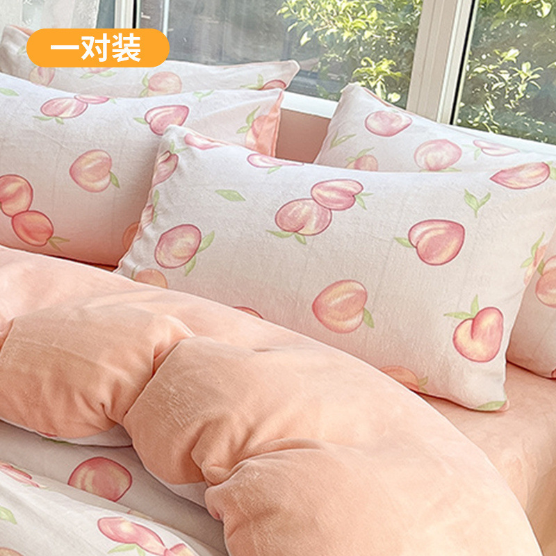 Funda de almohada de terciopelo de leche de invierno, un par de fundas de almohada de terciopelo de coral grueso, una sola funda de revestimiento de núcleo de almohada para niños 48x74 2