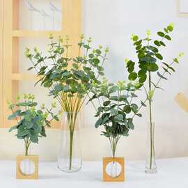 跨境绿植高级感尤加利金钱草16叉尤加利家居绿植软装婚庆家居用品