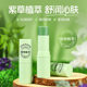 Comfrey Soothing Stick Cool Outdoor Anti-Bite Convenient Tingling Stick Moisturizing and Repairing Plant Comfrey Cream